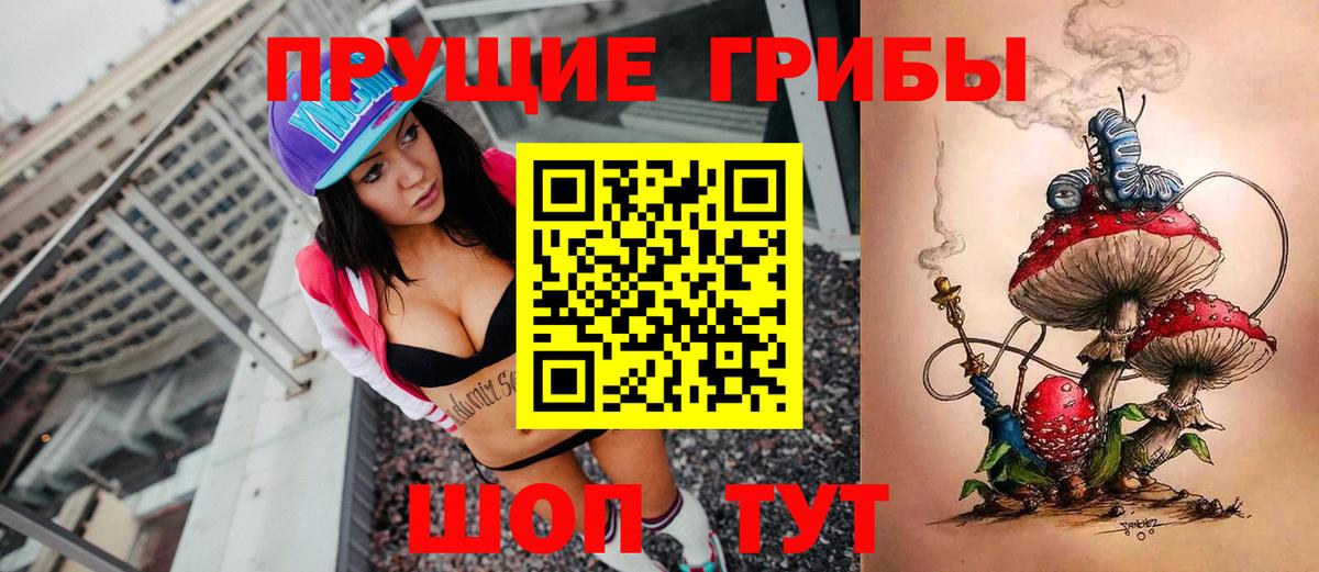 Альметьевск  Псилоцибиновые грибы Cubensis  Псилоцибиновые грибы мицелий  Вход с VPN 